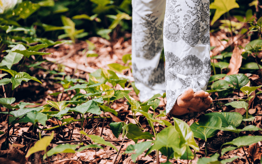 Petit précis d’écologie intérieure – Chapitre 1 : Prenons soin de notre Terre, Ancrage et Sécurité