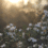 Welcome Spring  – Part 1