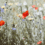 Welcome Spring  – Part 2