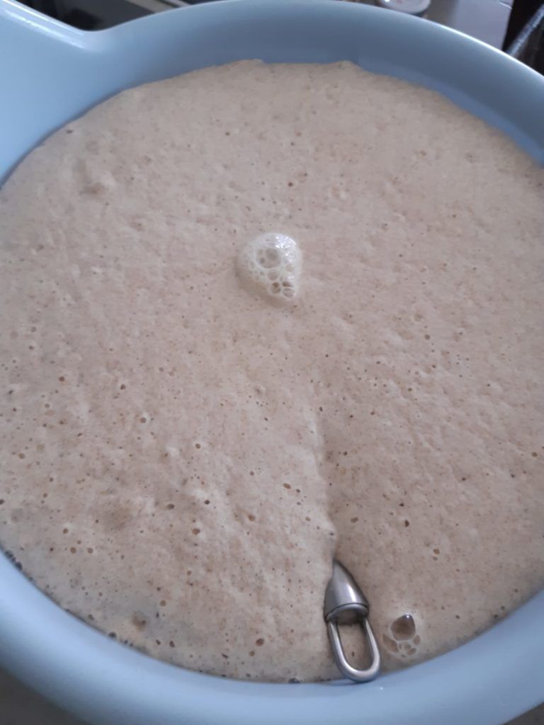 La pâte à pain gonfle