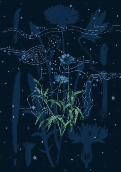 Photo from the book Le Jardin des Dieux, by Laure de Chantal, illustrator Djohr.