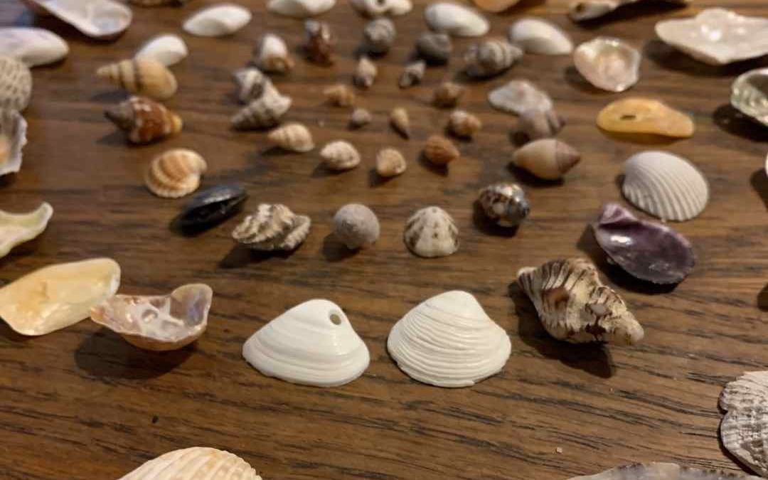 Unearthing the Kinship of Nature and The Golden Ratio