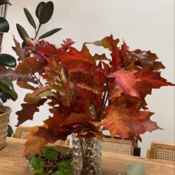 5 Ways Series: Observing the Autumn Equinox