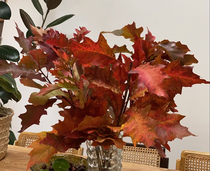 5 Ways Series: Observing the Autumn Equinox