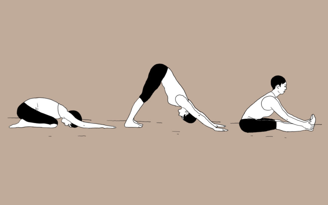Yoga et souplesse : postures et techniques pour s’assouplir 