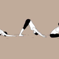 Yoga et souplesse : postures et techniques pour s’assouplir 