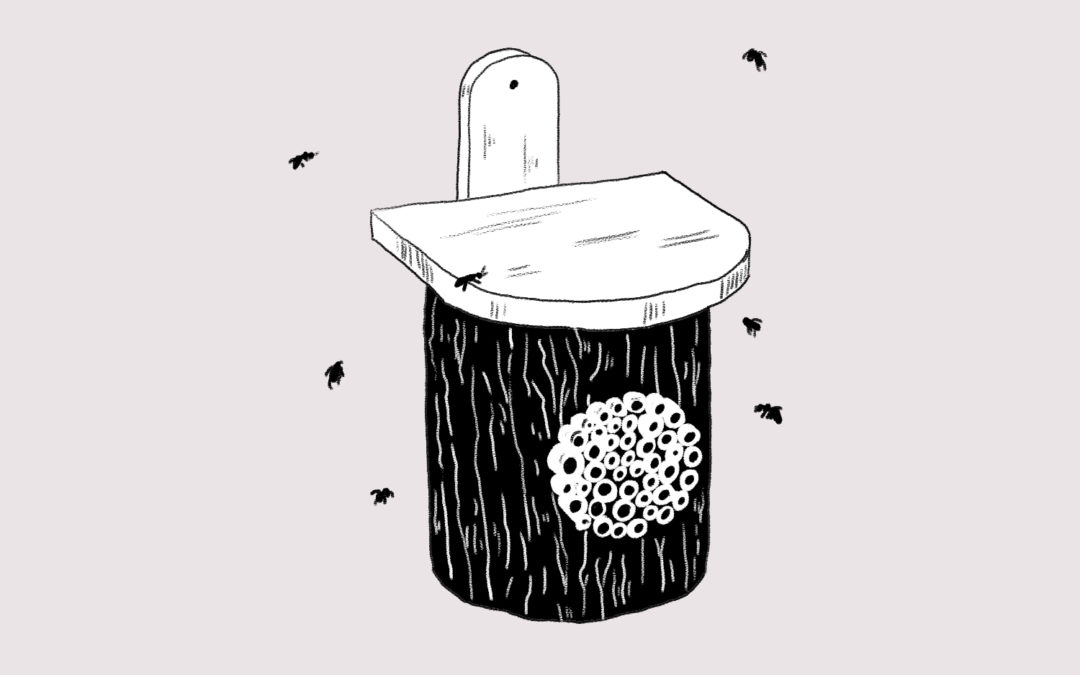 Comment fabriquer un nichoir à abeilles ?