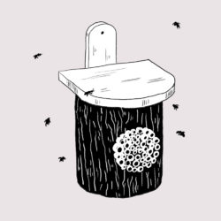 Comment fabriquer un nichoir à abeilles ?